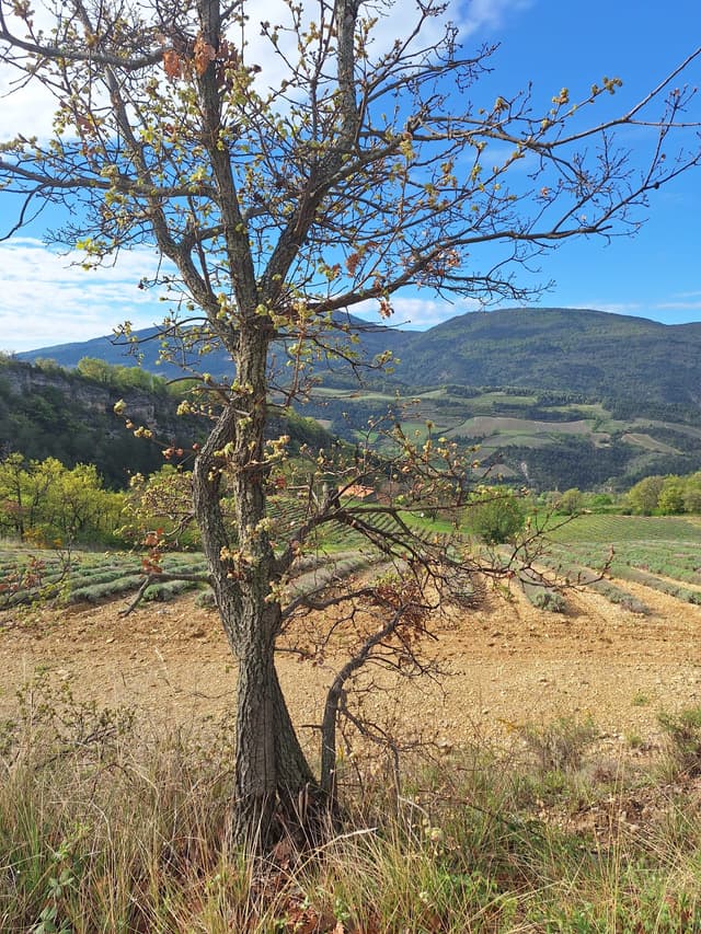 Séminaire EPSSY - cadre naturel