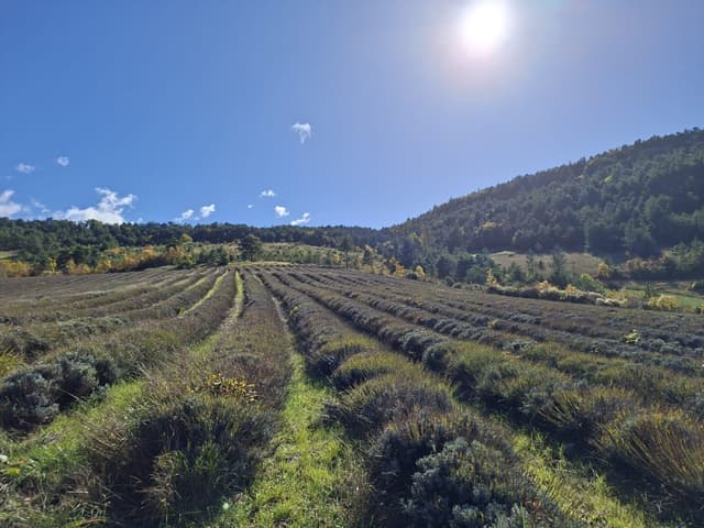 Séminaire EPSSY - environnement